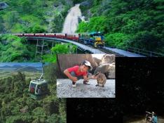 【サプライズコアラキャンペーン】どきどき キュランダ列車とスカイレールと夜行性動物探検ツアーと土ボタル鑑賞 (ケアンズ発)