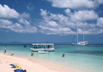 グラスボトムボート