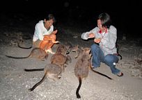 グラネット渓谷で餌付けに挑戦!