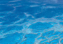 グレートバリアリーフ