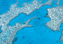 グレートバリアリーフ