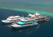 クルーズ船とリーフワールド