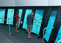 水中観測室なら濡れずに海の様子が見れる