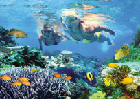 シュノーケリング