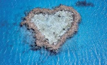 グレートバリアリーフが造形した神秘的なロマンス、ハートリーフ