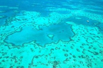 グレートバリアリーフ