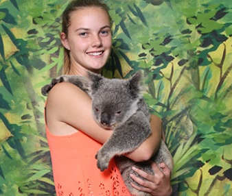 無料でコアラ抱っこができます♪