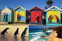 【BUNYIP TOUR】グレートオーシャンロード・モーニントン半島&ペンギンパレードツアー 2日間