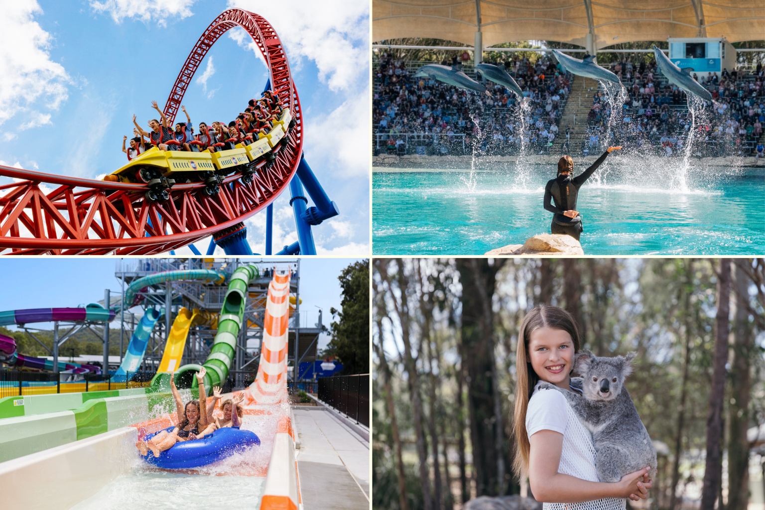 オールパークパス 5日間有効（シーワールド、ムービーワールド、パラダイスカントリー、ウエットンワイルド入場券）