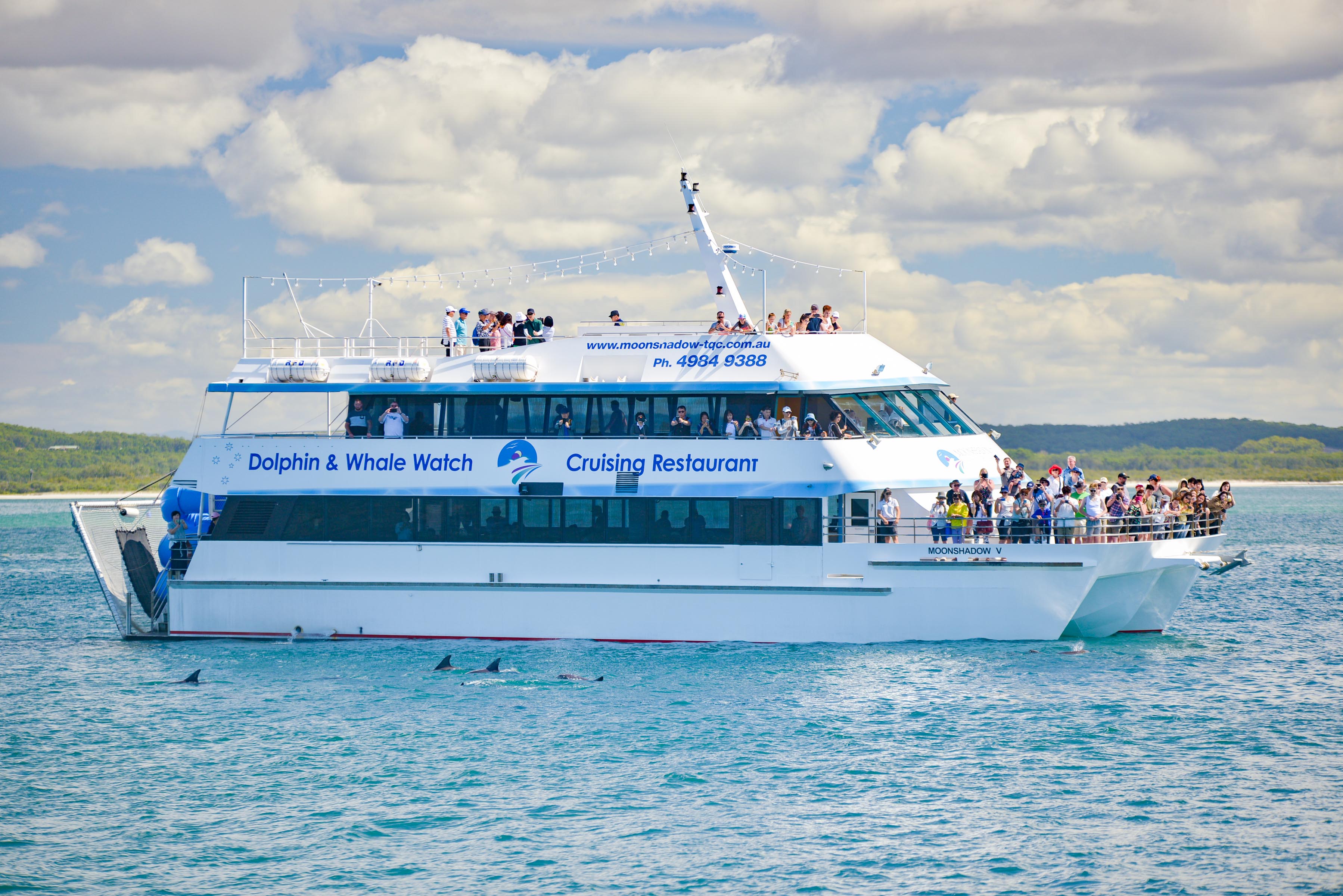 大自然と動物に出会うポートスティーブンス日帰りツアー（日本語）