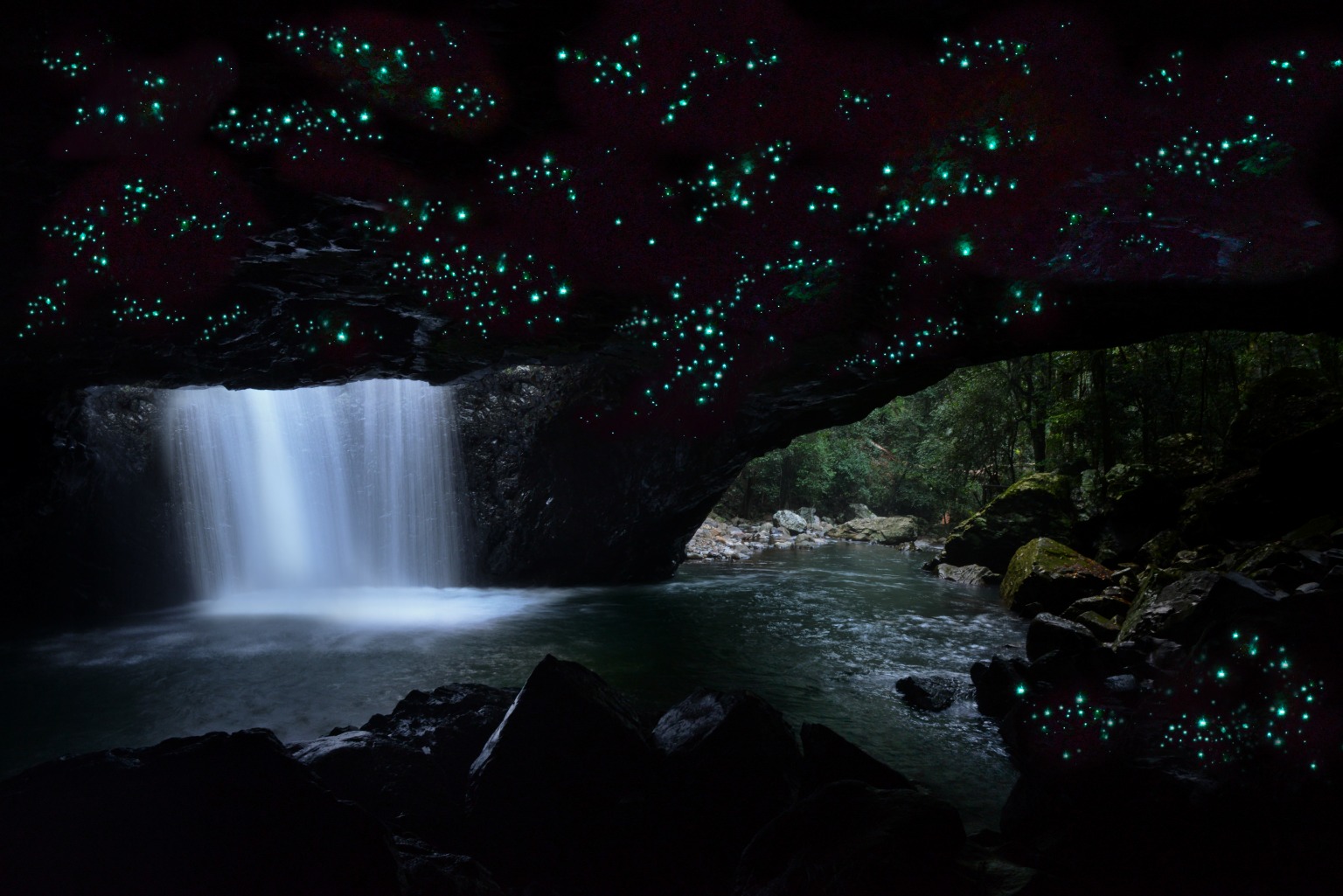 世界遺産 土ボタルツアー