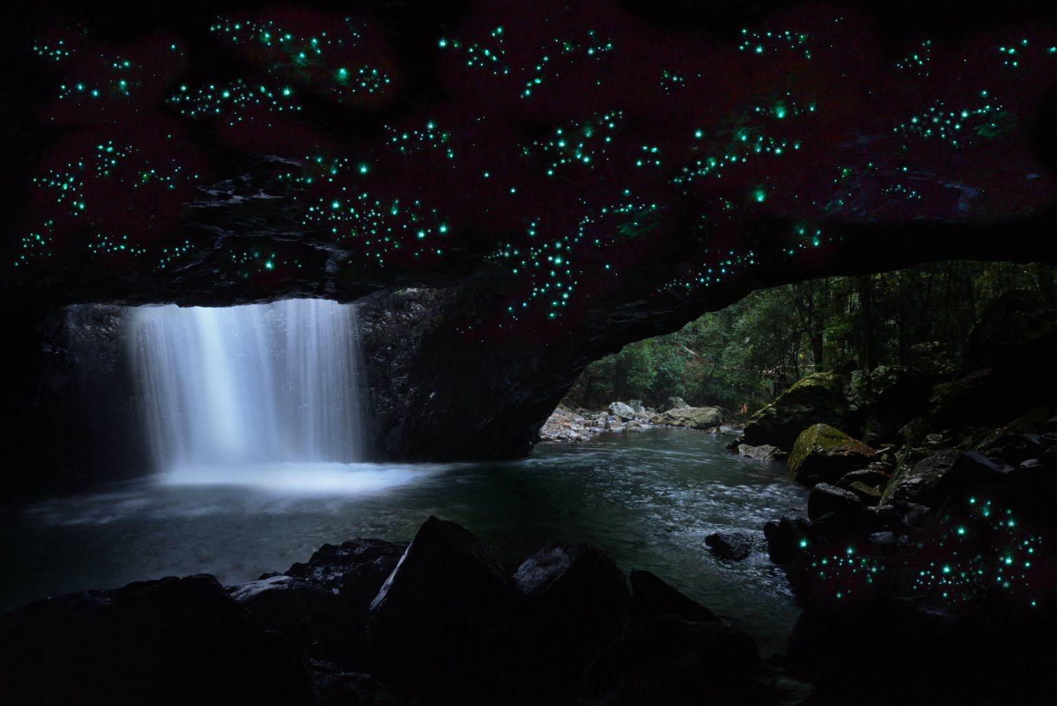 世界遺産 土ボタルツアー（日本語）