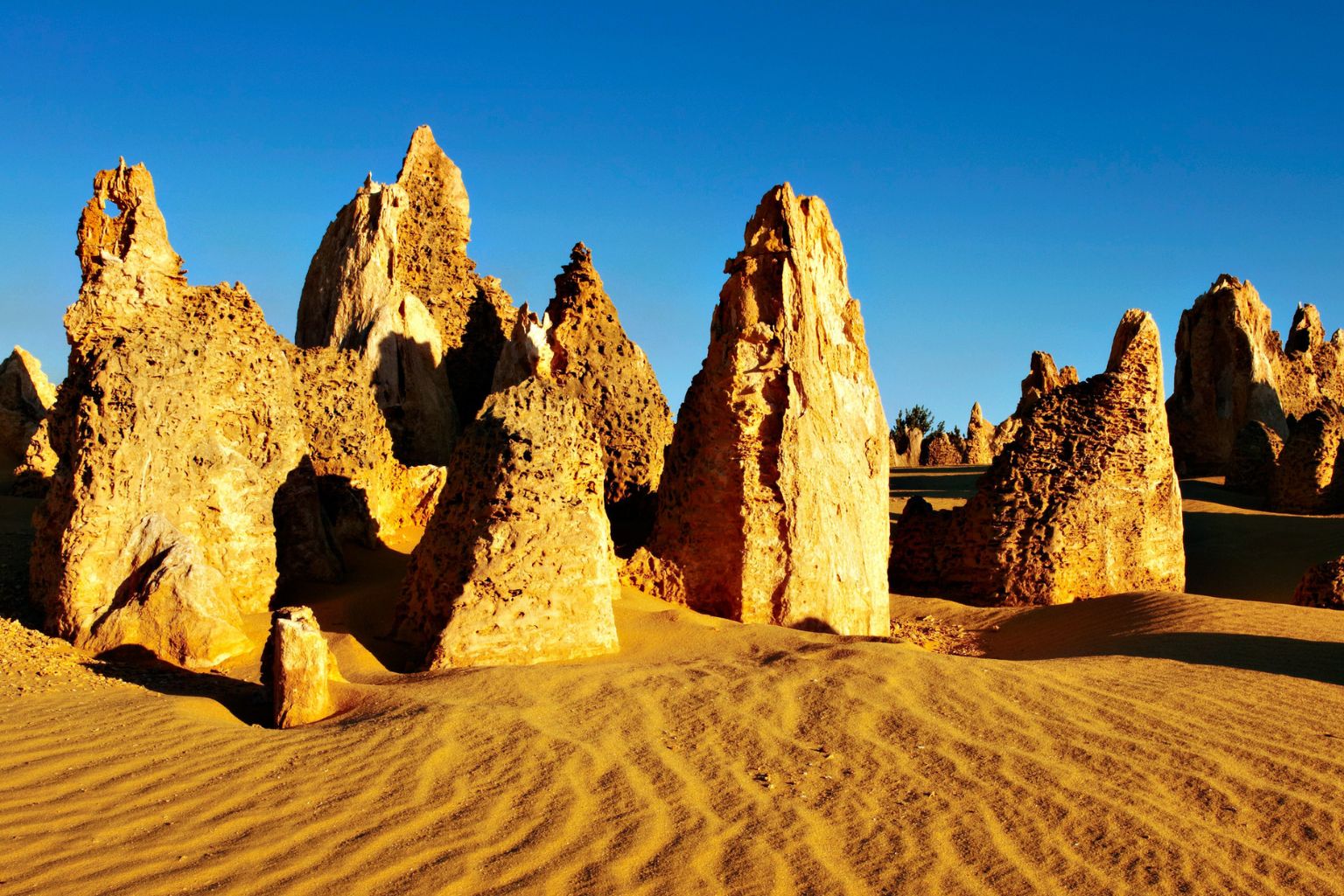 【日本語】おまかせ☆ピナクルズ4WDツアー（フィッシュ＆チップスランチ）