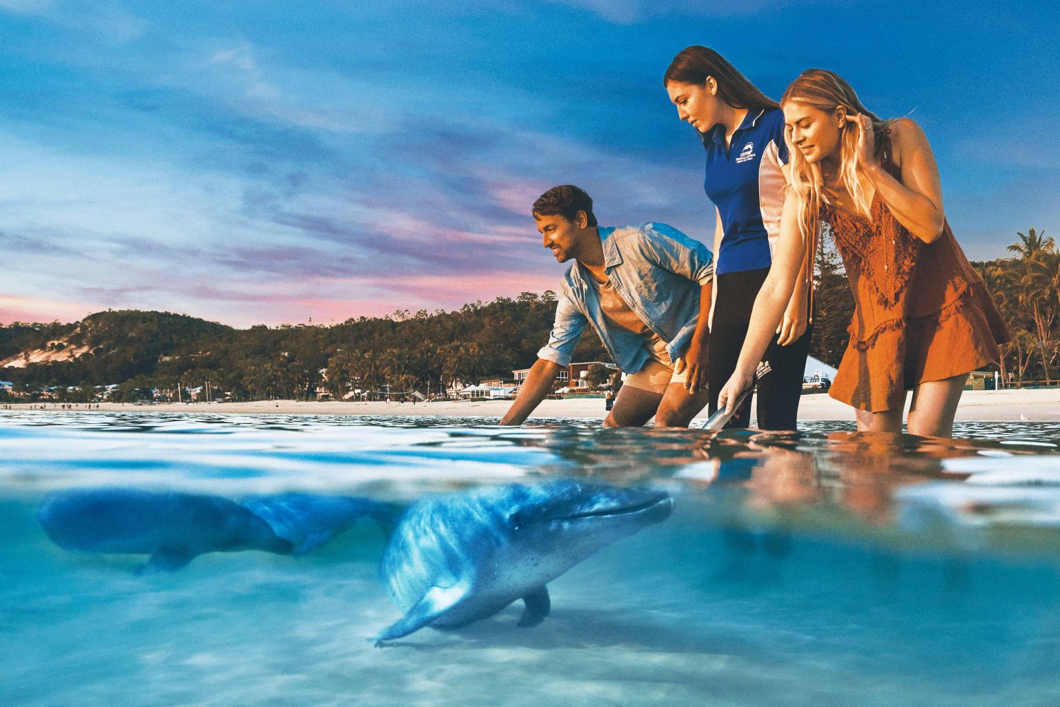 モートン島タンガルーマ１日ツアー