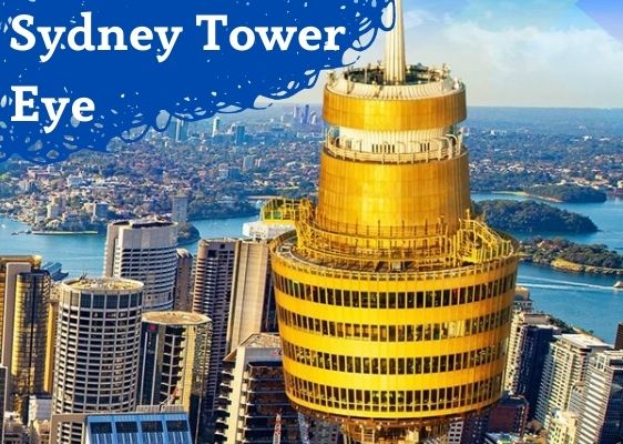 シドニータワーアイ入場券