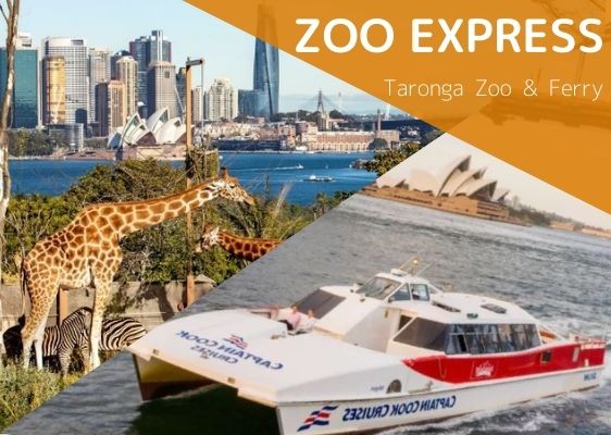 タロンガ動物園入場券（往復フェリー付）