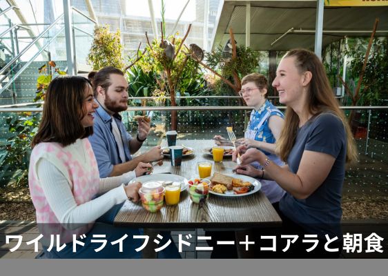コアラ朝食inワイルドライフシドニー(入場券付き）