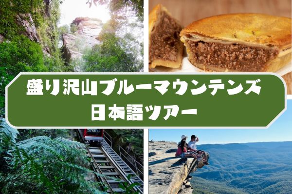【Mr Sydney Tours】盛り沢山ブルーマウンテンズ日本語ツアー / 基本プラン【シーニックワールドなし】