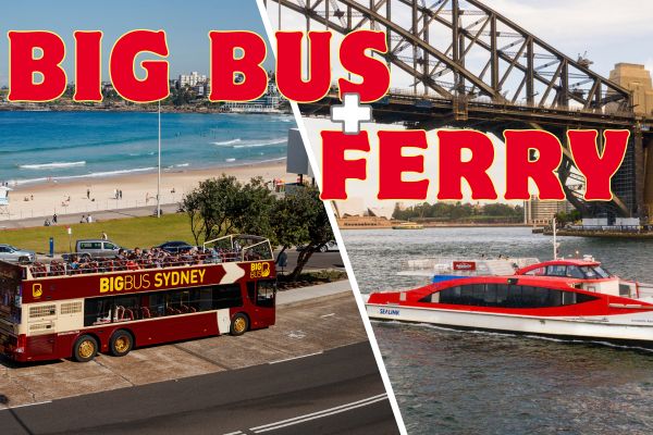 自由旅行応援！ ビッグバス２日間＋シドニー湾フェリー１日間　乗り放題チケット