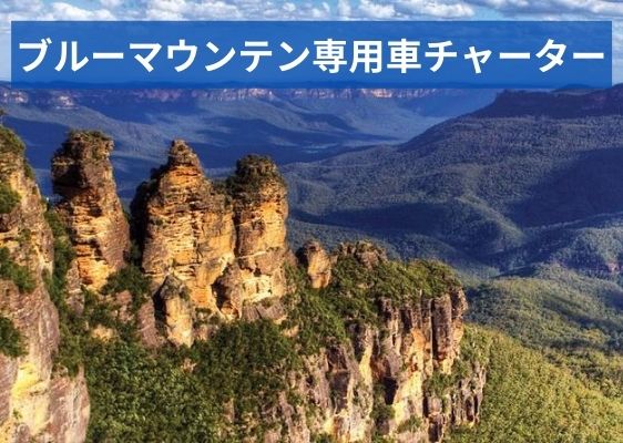 ブルーマウンテン専用車チャーター【市内発８時間チャーター ⇒ 空港着】