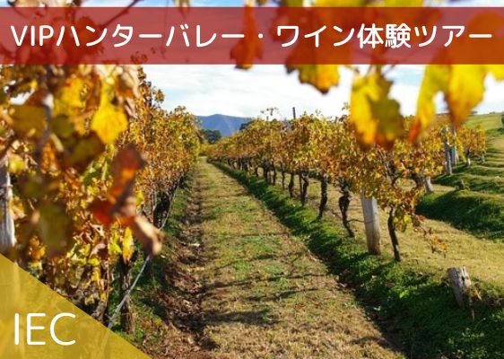 IEC ハンターバレーワイン体験ツアー(日本語ガイド付き専用車）【1～2名様】