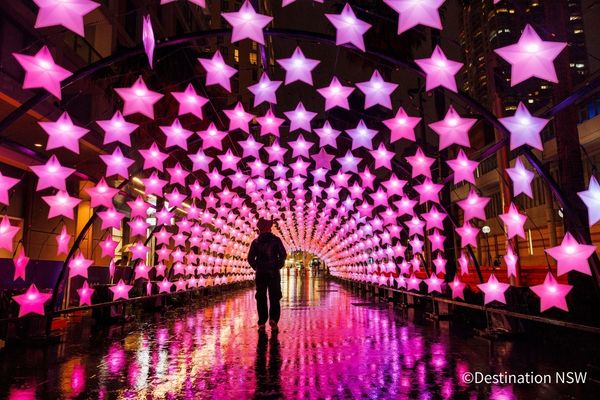 期間限定!日本語ガイドと歩くビビッドシドニーウォーク2026 観光クルーズ付!