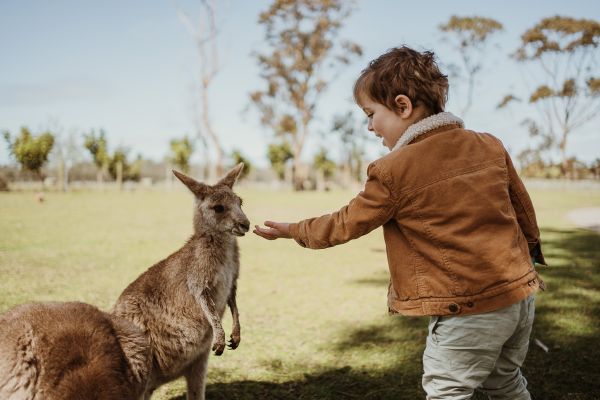 オークベールワイルドライフパーク　入場券