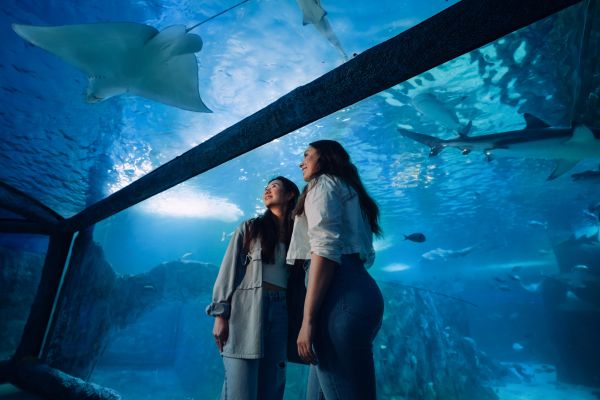シドニー水族館