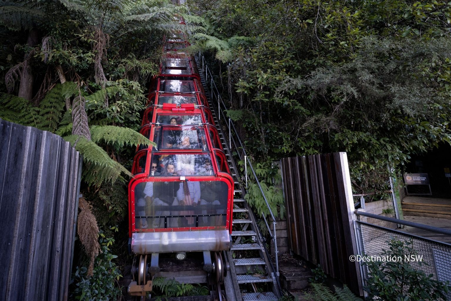 Scenic World