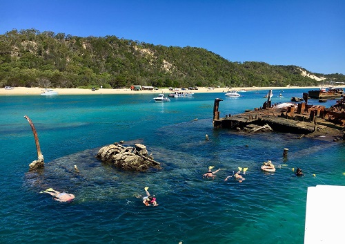 モートン島 沈没船シュノーケリングツアー 英語 His Oceania