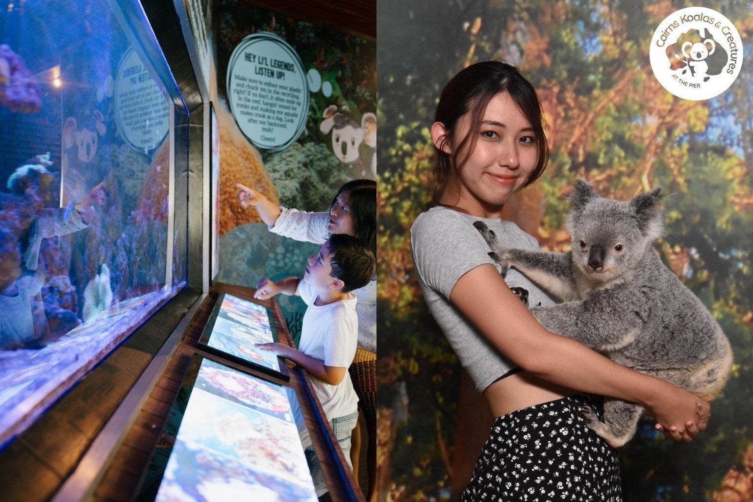 入園券+事前予約コアラ抱っこ写真（1～2名様）