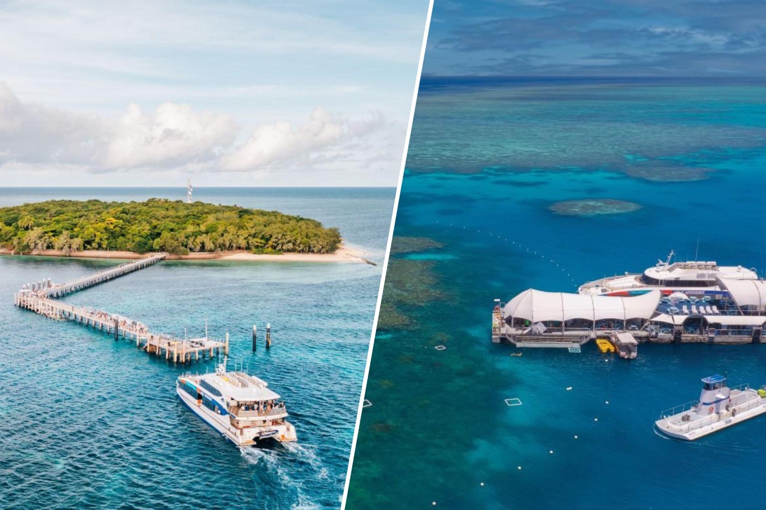 グリーン島とアウターリーフクルーズ（バス送迎なし）