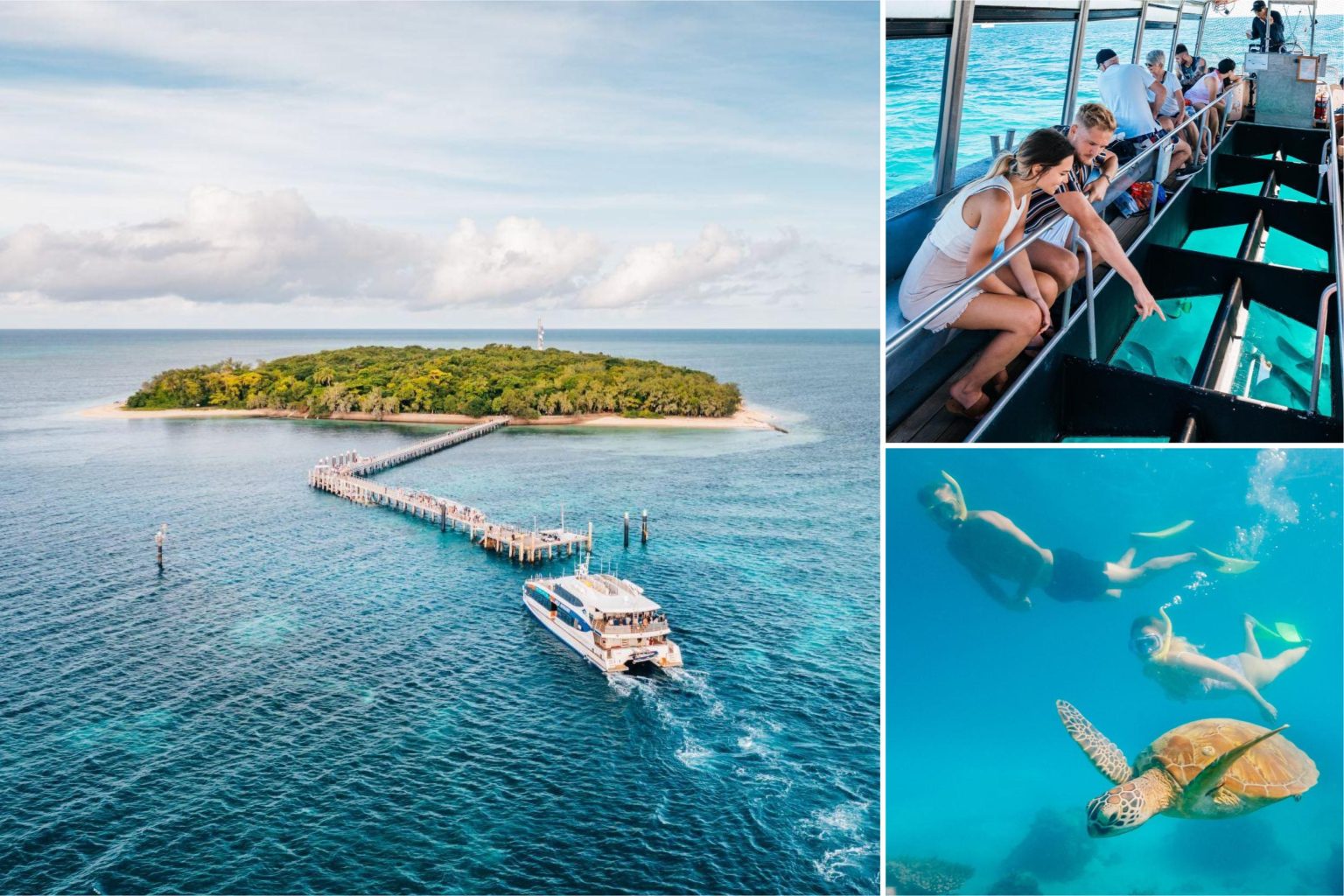 グリーン島エコアドベンチャー（バス送迎なし）