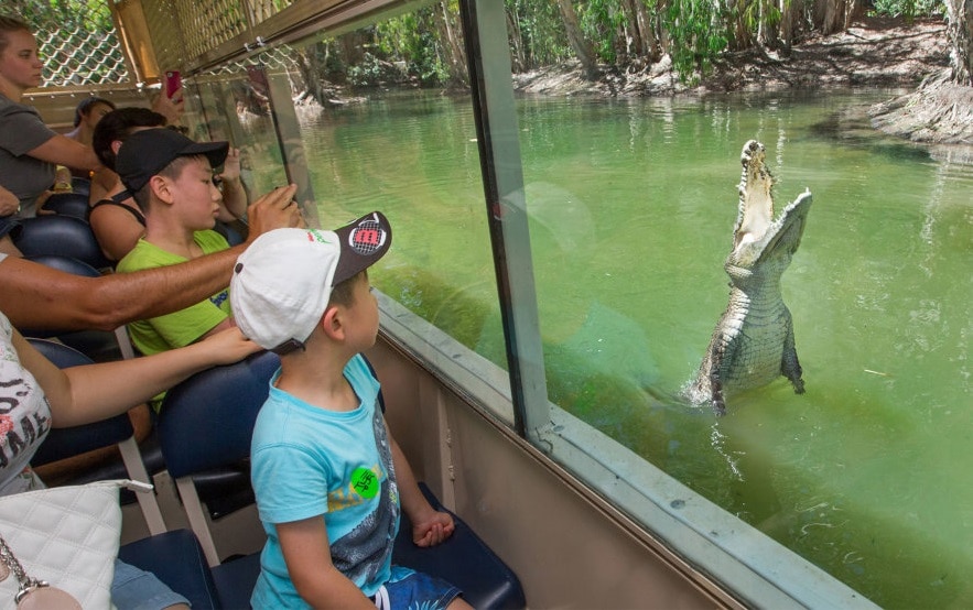 どきどき！ハートリーズ・クロコダイル・アドベンチャーズ動物園（コアラタッチ写真無し）