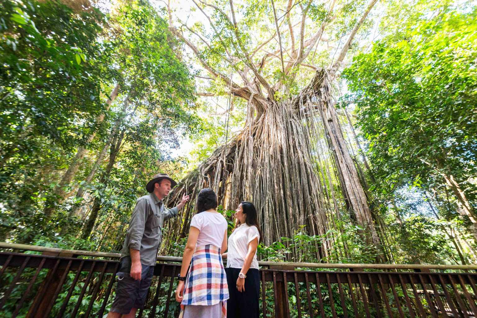 シェーンさんと行く 世界遺産のアサートン高原＆グルメツアー（ケアンズ発）