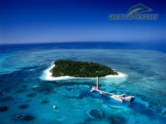 【早特!コアラ割りキャンペーン】グリーン島エコアドベンチャー(送迎なし)