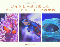 【バーチャルツアー】 ケアンズ水族館