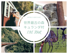 【バーチャルツアー】 キュランダ村~世界遺産の熱帯雨林に囲まれた町~