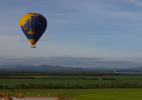 眼下には広大なオーストラリアの土地