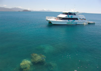 フランクランド諸島に到着！