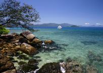 手付かずの自然が残るフランクランドアイランド