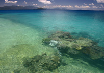 フランクランドアイランド