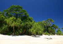 フランクランドアイランド