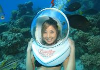 グリーン島別オプション シーウォーカー