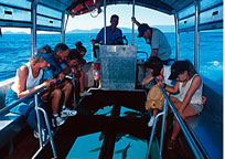 グラスボトムボート