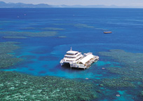 モアリーフ　ポンツーン