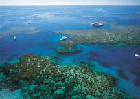 アウターリーフ