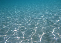 透き通った海