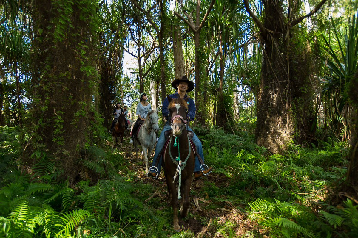 熱帯雨林の中をポックリ♪ポックリ♪