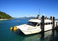 フィッツロイ島に到着!